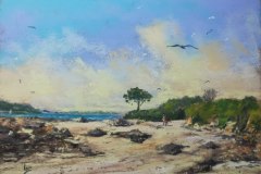 La-plage-des-Briantais-Lancieux